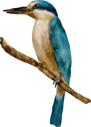 watercolor bird blue