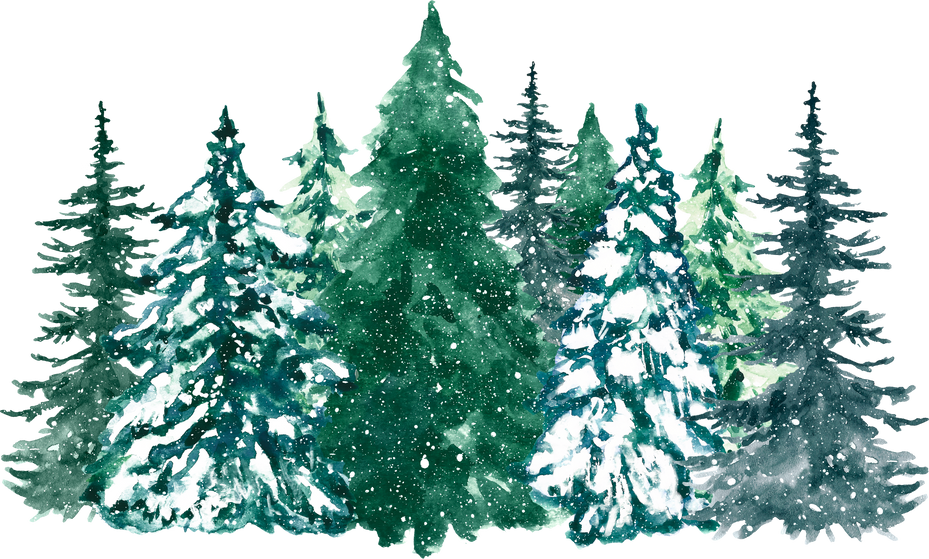 Watercolor winter pine tree forest illustration