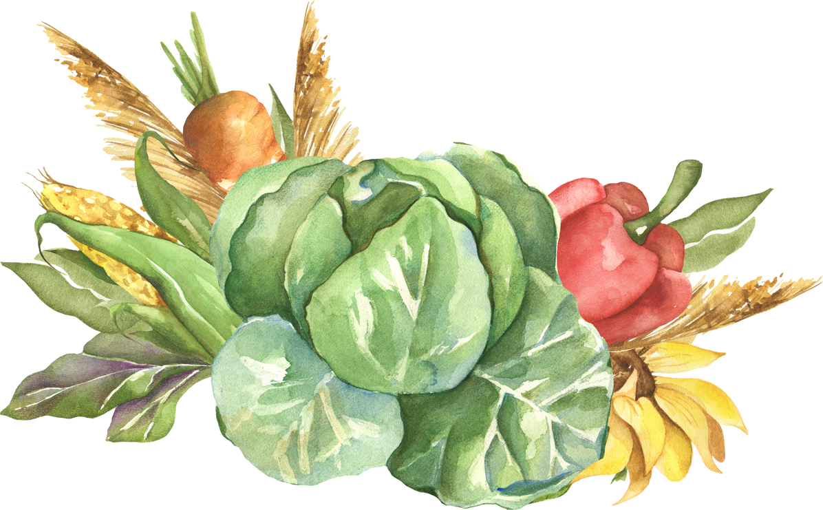 Watercolor vegetables clipart.