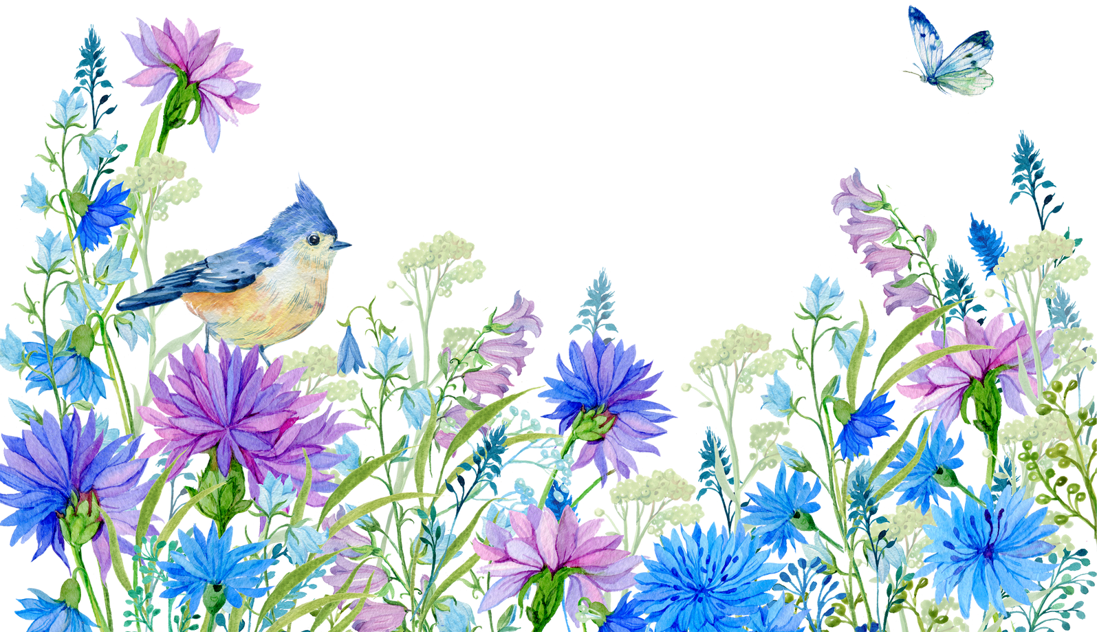 Flowers Cornflowers Bird Jay Watercolor Illustration